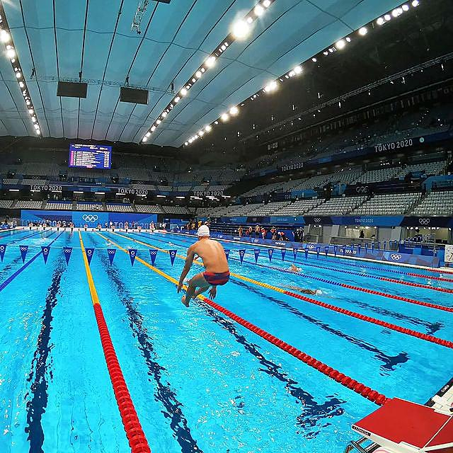 包含荷兰游泳队斩获多枚金牌，实力集团突围的词条