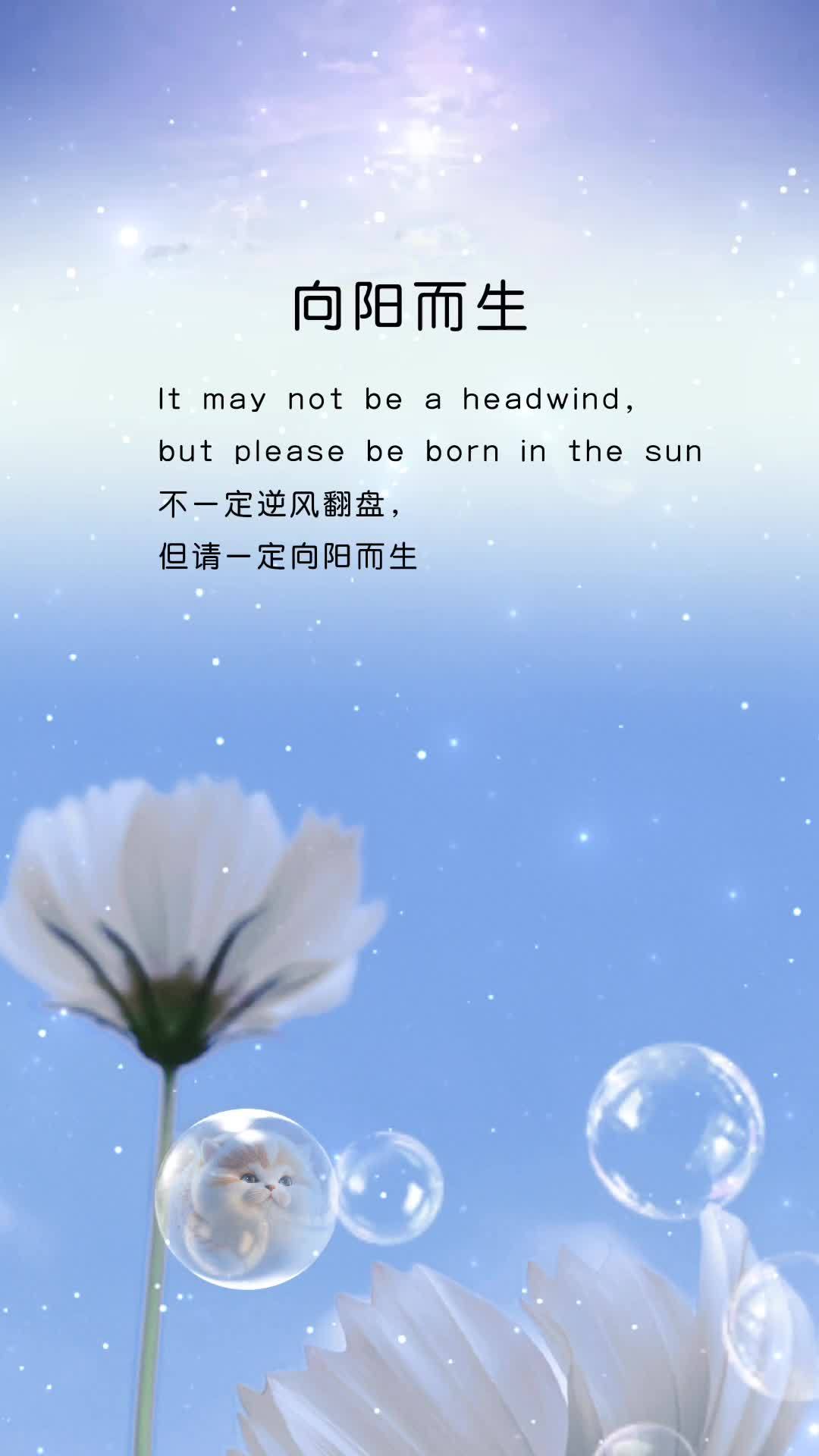 爱尔兰队逆风翻盘，展现战胜困难的决心的简单介绍