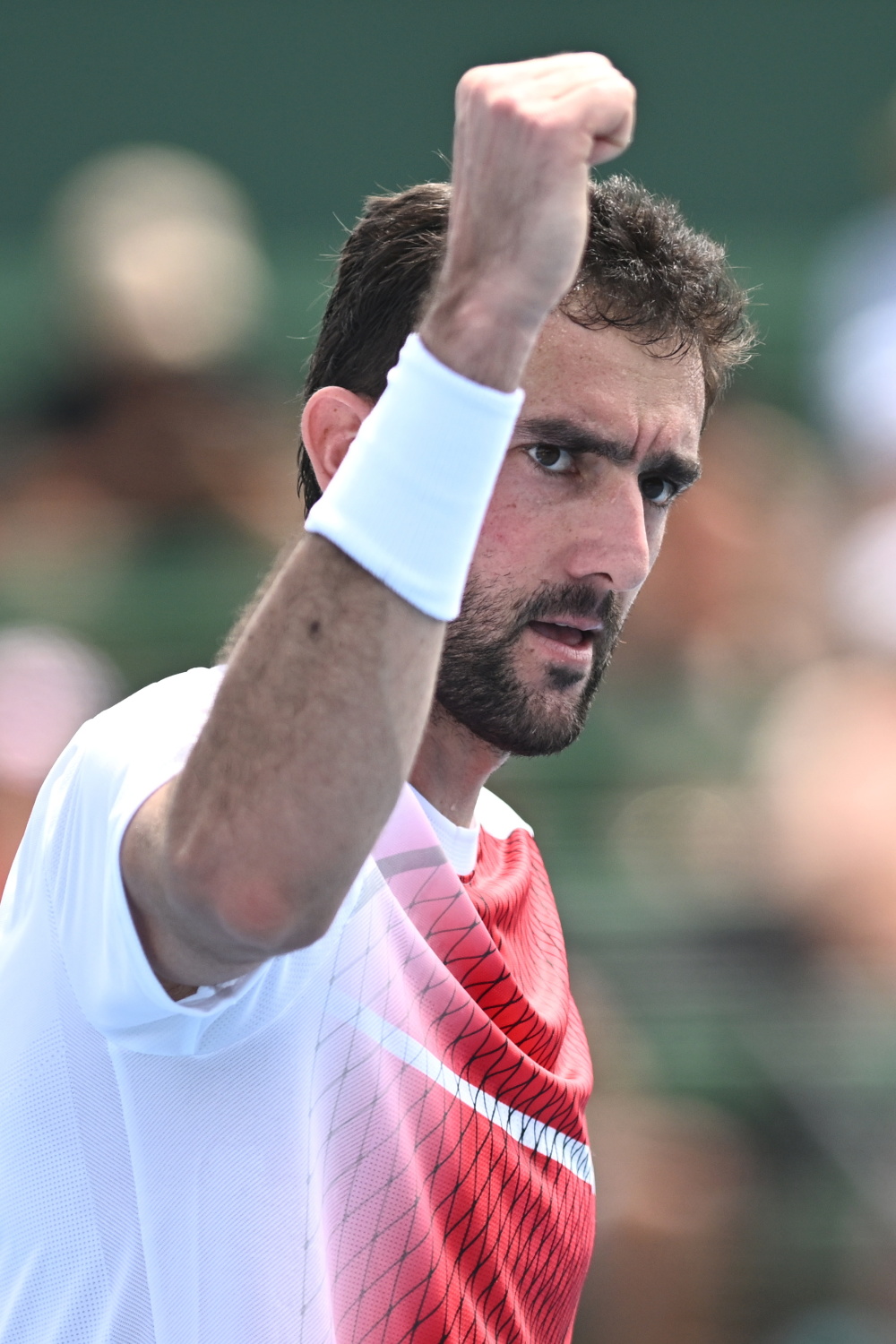 德国网球队力克意大利网球队，穆雷完成帽子戏法的简单介绍