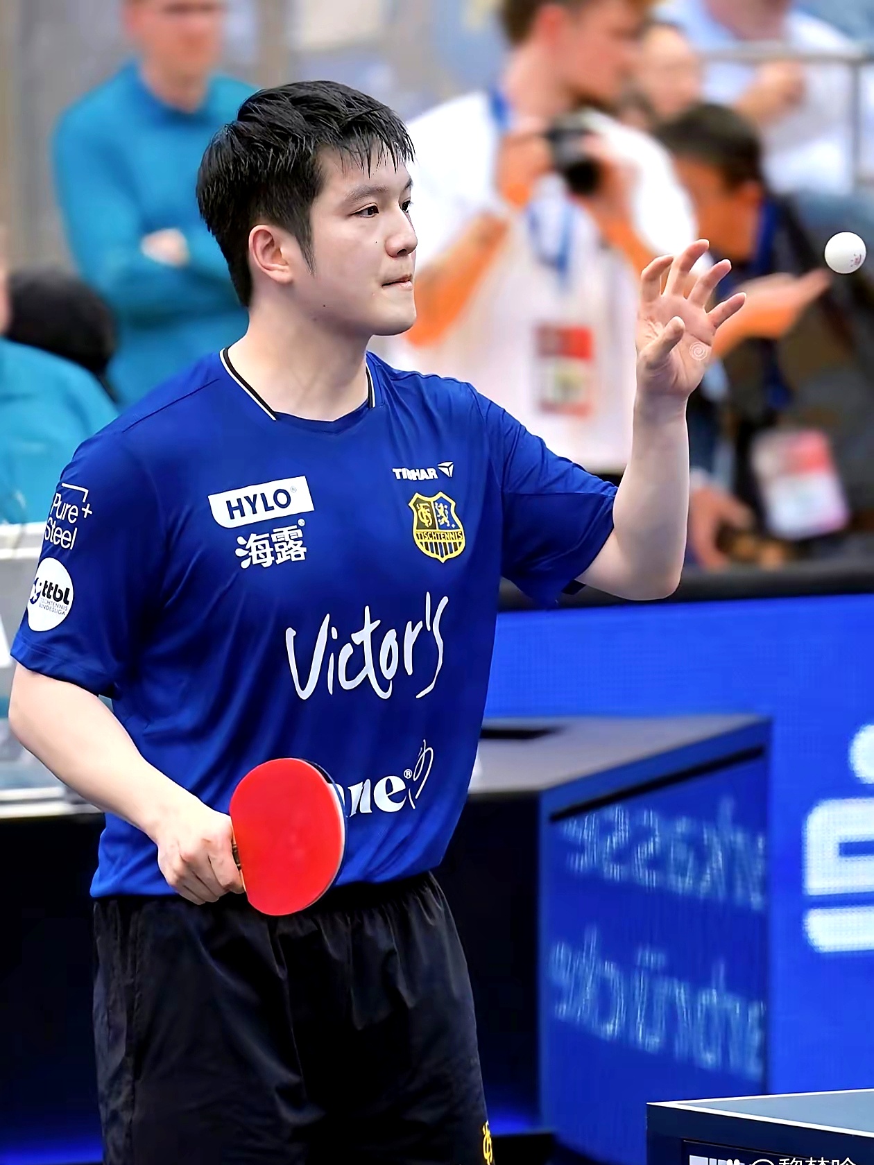 包含波兰乒乓球队强势中国乒乓球队,樊振东惊艳世界的词条 包含波兰乒乓球队强势中国乒乓球队,樊振东惊艳世界的词条